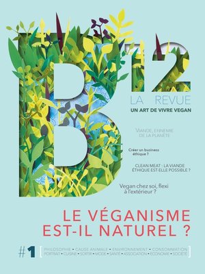 cover image of Revue B12 n°1